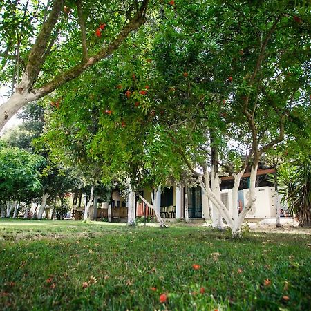 Agriturismo Archelao Oristano Exterior photo